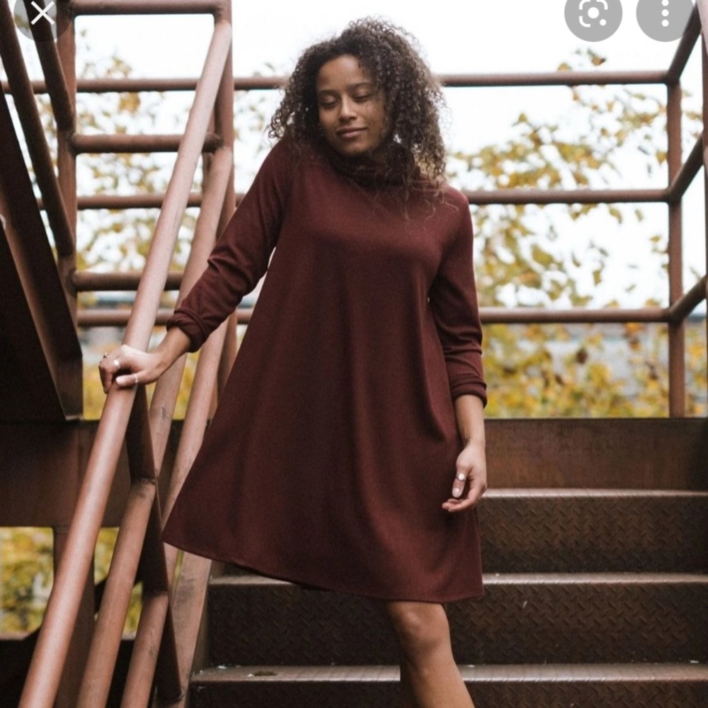 Jackson Rowe passage turtleneck dress